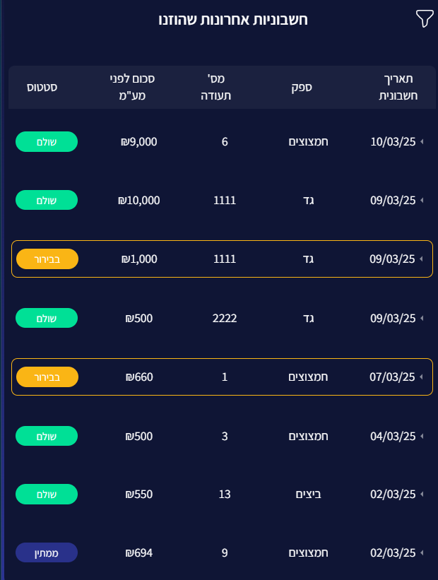 עותק-של-ניהול-הוצאות-2